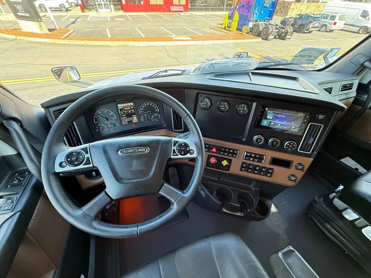 Steering wheel and gauge cluster